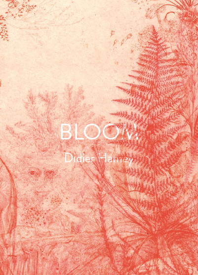 Didier Hamey – Bonshommes & Bloom