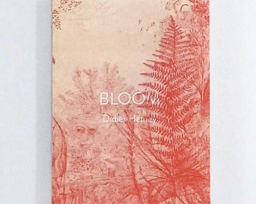 Didier Hamey – Bonshommes & Bloom
